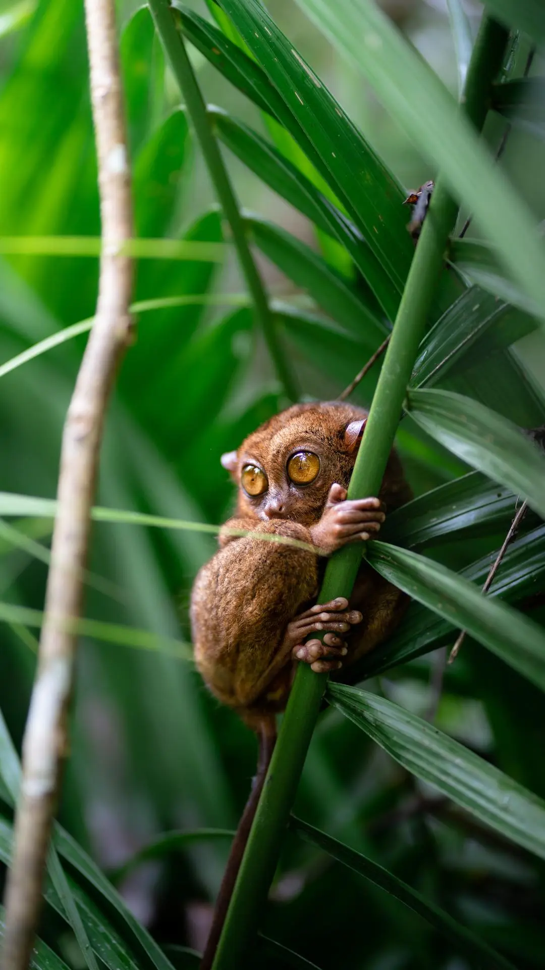 侠盗飞车手机版b站bilibili哔哩哔哩b站-第2张图片-太平洋在线下载 侠盗飞车手机版b站bilibili哔哩哔哩b站-第2张图片-太平洋在线下载