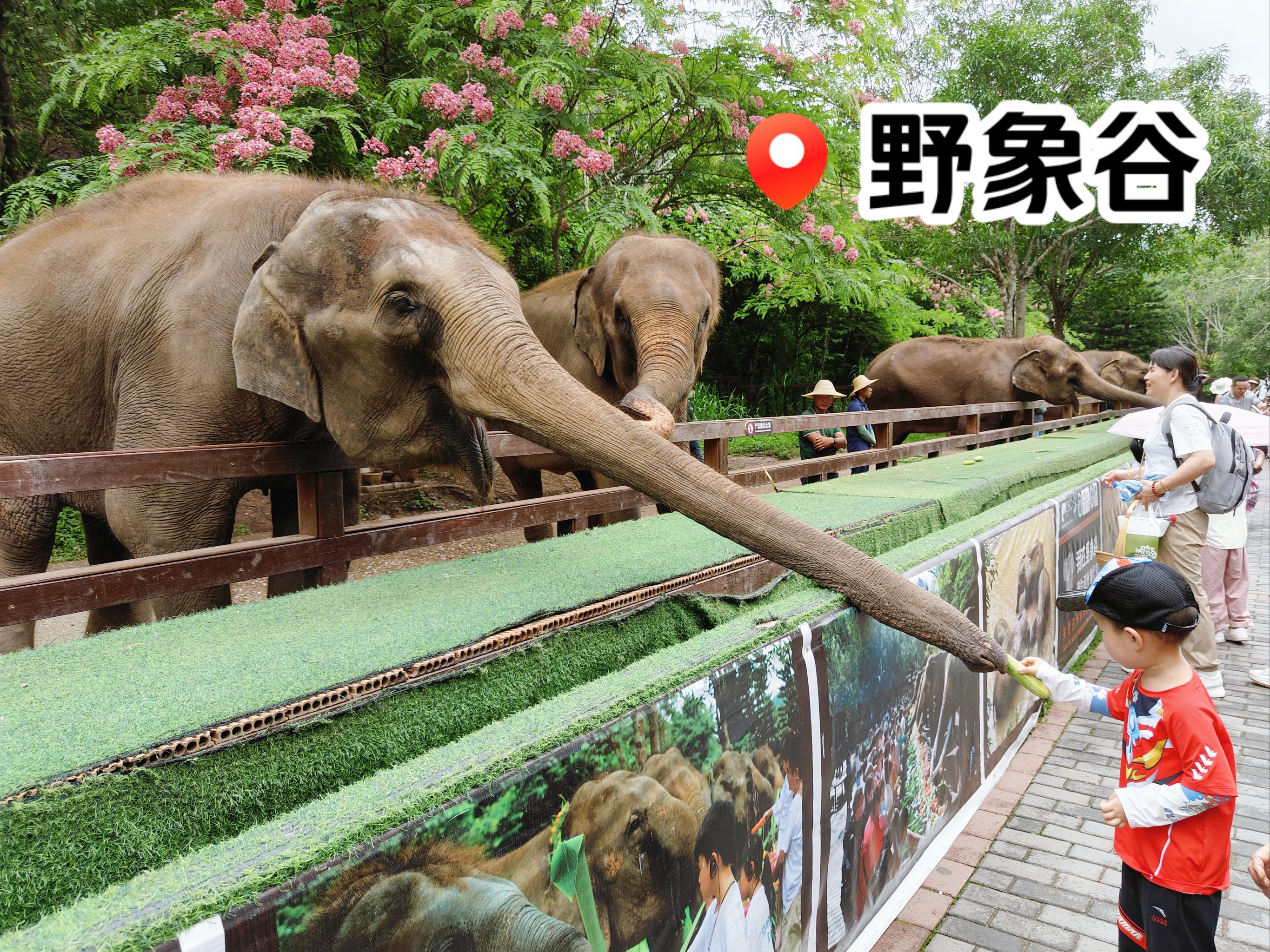 大象国际安卓版大象国际官网登录-第2张图片-太平洋在线下载 大象国际安卓版大象国际官网登录-第2张图片-太平洋在线下载